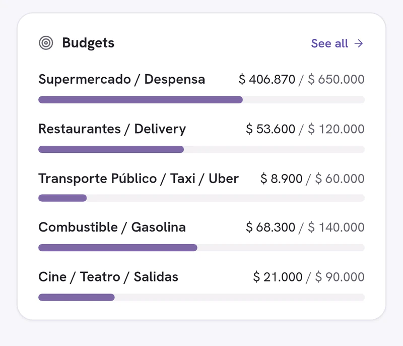 The month’s budgets by category, with what was spent and the cap of each